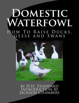 Domestic Waterfowl: How To Raise Ducks, Geese and Swans - Jackson Chambers