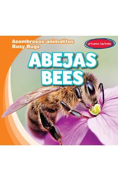 Coperta cărții 'Abejas / Bees - Bray Jacobson'