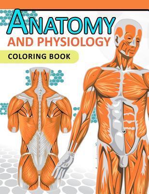 Anatomy and Physiology Coloring Book: 2nd Edtion - Dr Jean J. Morgan
