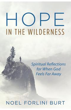 Coperta cărții 'Hope in the Wilderness - Noel Forlini Burt'
