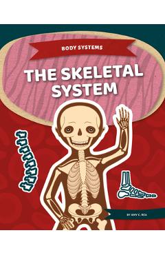 Coperta cărții 'The Skeletal System - Amy C. Rea'