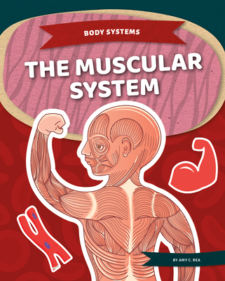 The Muscular System - Amy C. Rea