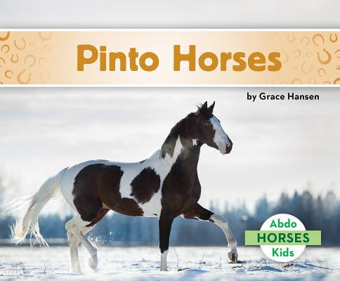 Pinto Horses - Grace Hansen