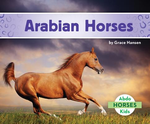 Arabian Horses - Grace Hansen