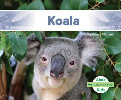 Koala - Grace Hansen