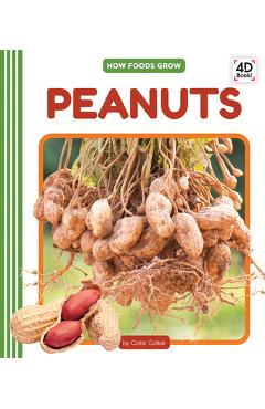 Coperta cărții 'Peanuts - Golriz Golkar'