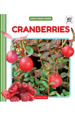 Coperta cărții 'Cranberries - Golriz Golkar'