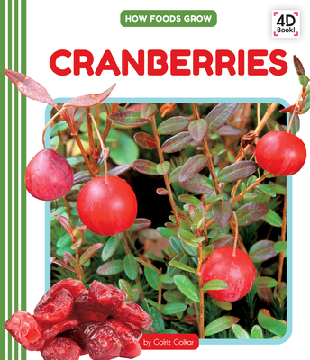 Coperta cărții 'Cranberries - Golriz Golkar'
