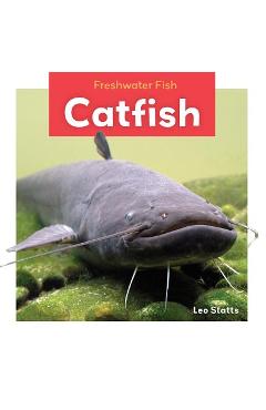 Coperta cărții 'Catfish - Leo Statts'