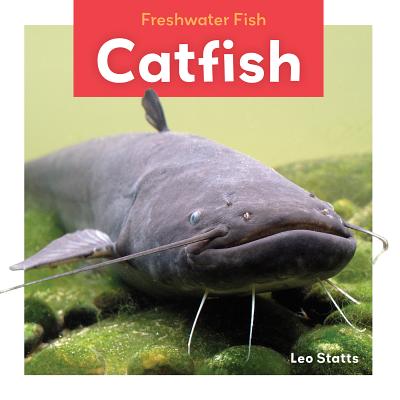 Coperta cărții 'Catfish - Leo Statts'