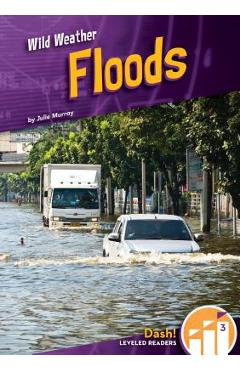 Coperta cărții 'Floods - Julie Murray'