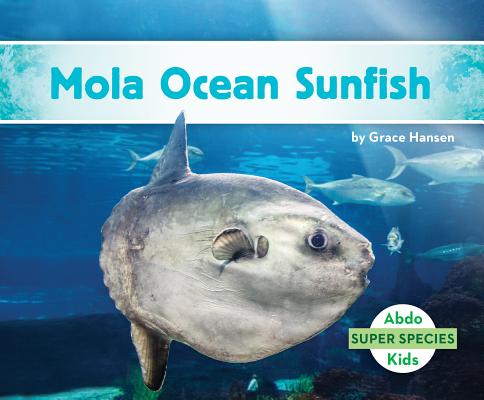 Mola Ocean Sunfish - Grace Hansen