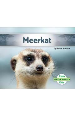 Coperta cărții 'Meerkat - Grace Hansen'