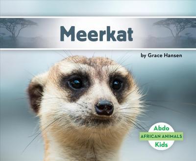 Meerkat - Grace Hansen