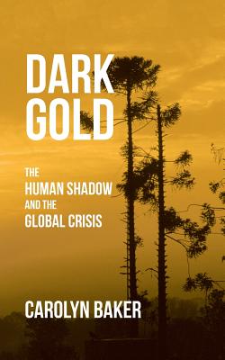Dark Gold: The Human Shadow and the Global Crisis - Carolyn Baker