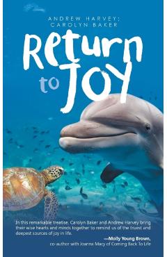 Return to Joy - Andrew Harvey