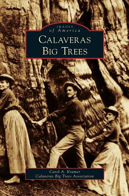 Calaveras Big Trees - Carol A. Kramer