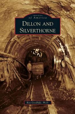 Coperta cărții 'Dillon and Silverthorne - Roy Goodliffe'