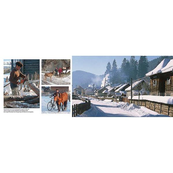 Romania - Vesnicia Satului - Florin Andreescu