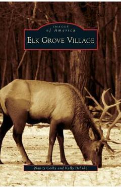 Coperta cărții 'Elk Grove Village - Nancy Colby'
