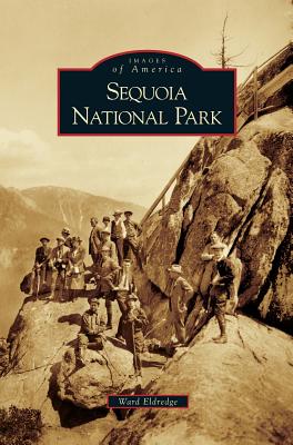 Sequoia National Park - Ward Eldridge