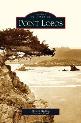 Point Lobos - Monica Hudson