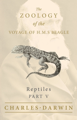Reptiles - Part V - The Zoology of the Voyage of H.M.S Beagle; Under the Command of Captain Fitzroy - During the Years 1832 to 1836 - Charles Darwin