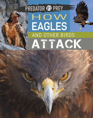 Predator Vs Prey: How Eagles and Other Birds Attack! - Tim Harris