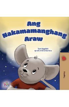 Coperta cărții 'A Wonderful Day (Tagalog Children's Book for Kids) - Sam Sagolski'