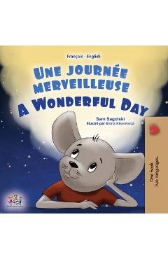 Coperta cărții 'A Wonderful Day (French English Bilingual Book for Kids) - Sam Sagolski'