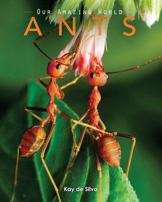 Ants: Amazing Pictures & Fun Facts on Animals in Nature - Kay De Silva