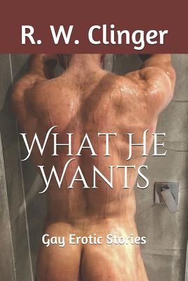 What He Wants: Gay Erotic Stories - R. W. Clinger