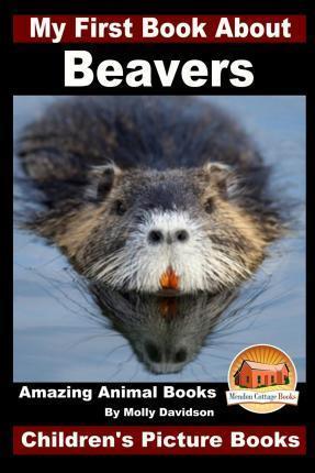 My First Book About Beavers - Amazing Animal Books - Children's Picture Books - John Davidson