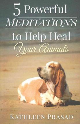 5 Powerful Meditations to Help Heal Your Animals - Kathleen Prasad