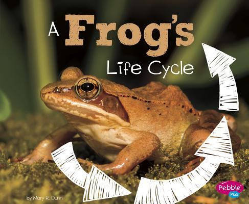 A Frog's Life Cycle - Mary R. Dunn