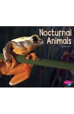 Coperta cărții 'Nocturnal Animals - Abbie Dunne'