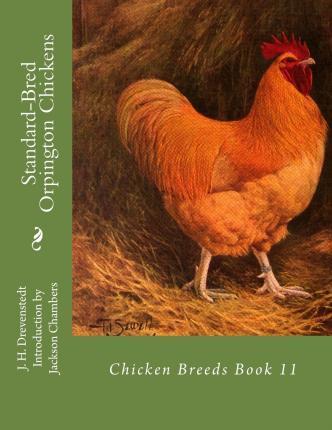 Standard-Bred Orpington Chickens: Chicken Breeds Book 11 - Jackson Chambers