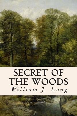 Secret of the Woods - William J. Long