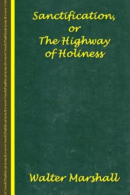 Sanctification; The Highway of Holiness - Andrew Murray