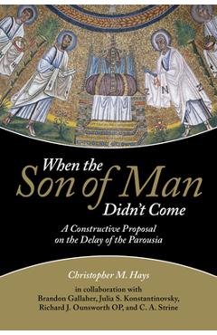 Coperta cărții 'When the Son of Man Didn't Come - Christopher M. Hays'