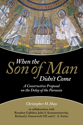 When the Son of Man Didn't Come - Christopher M. Hays