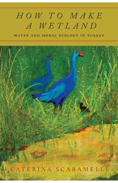 Coperta cărții 'How to Make a Wetland: Water and Moral Ecology in Turkey - Caterina Scaramelli'
