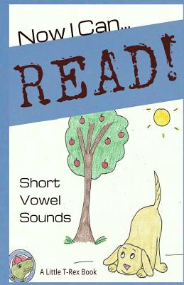 Now I Can Read! Short Vowel Sounds: 5 Short & Silly Stories for Early Readers - Tara Cousins