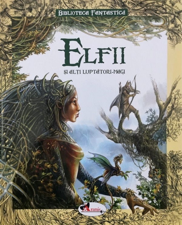 Elfii si alti luptatori magici - Jean-Luc Bizien