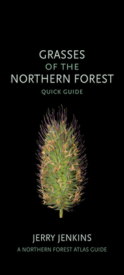 Grasses of the Northern Forest: Quick Guide - Jerry Jenkins