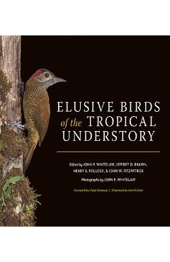 Coperta cărții 'Elusive Birds of the Tropical Understory - John P. Whitelaw'