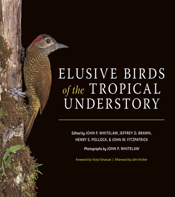 Elusive Birds of the Tropical Understory - John P. Whitelaw