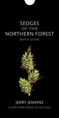 Sedges of the Northern Forest: Quick Guide - Jerry Jenkins