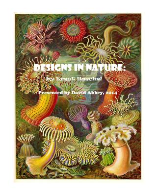 Designs in Nature: the incredible art of Ernst Haeckel - David Abbey