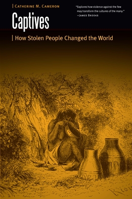 Captives: How Stolen People Changed the World - Catherine M. Cameron